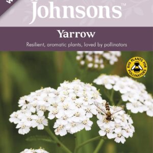 Johnson Seeds - Wild Flower - Yarrow  - 250 Seeds