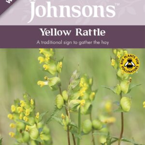 Johnson Seeds - Wild Flower - Yellow Rattle  - 150 Seeds