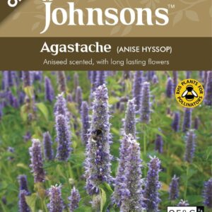 Johnson Seeds - Organic Flower - Agastache (Anise Hyssop) - 200 Seeds