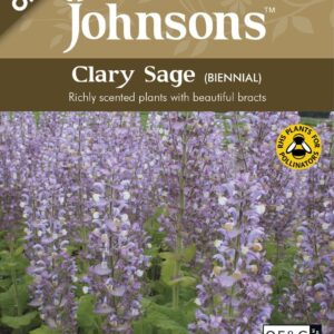 Johnson Seeds - Organic Flower - Clary Sage (Biennial) - 150 Seeds
