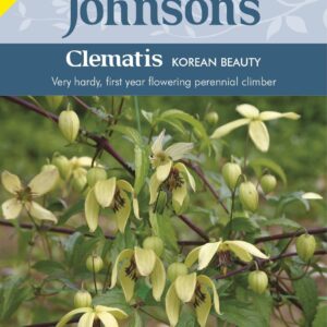 Johnson Seeds - Flower - Clematis Chiisanensis Korean Beauty - 35 Seeds