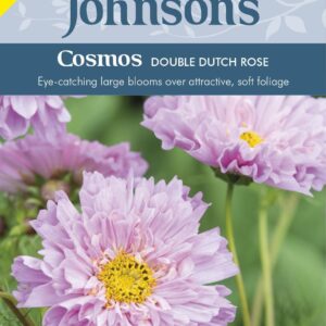 Johnson Seeds - Flower - Cosmos Double Dutch Rose - 50 Seeds