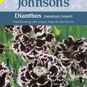 Johnson Seeds - Flower - Dianthus Chinensis Chianti - 200 Seeds