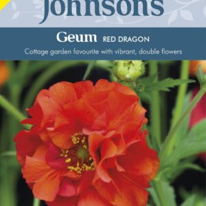 Johnson Seeds - Flower - Geum Red Dragon - 50 Seeds