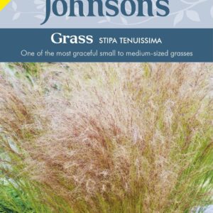 Johnson Seeds - Ornamental Grass - Stipa Tenuissima - 100 Seeds