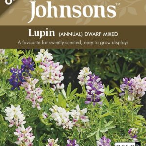 Johnson Seeds - Organic Flower - Organic Lupin Annual Dwarf Mixed - 30 Seeds