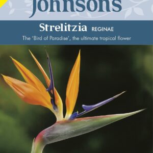 Johnson Seeds - Flower - Strelitzia Reginae - 10 Seeds