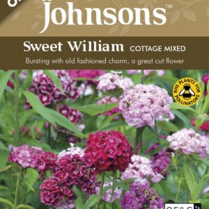 Johnson Seeds - Organic Flower - Organic Sweet William Cottage Mixed - 100 Seeds
