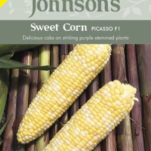 Johnson Seeds - Vegetable - Sweet Corn Picasso F1 - 35 Seeds