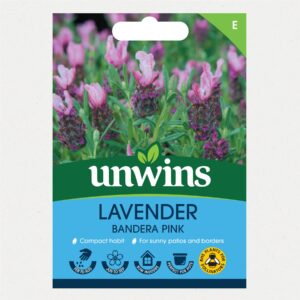 Unwins Flower Lavender Bandera Pink - 10 Seeds