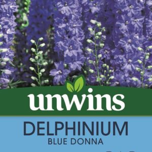 Unwins Delphinium Blue Donna Seeds
