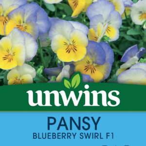 Unwins Pansy Blueberry Swirl 20 Seeds