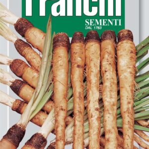 Franchi Seeds of Italy - DBO 123/2 - white Salsify - A Fiore Blu - Seeds