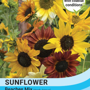 Thompson & Morgan  Flower Sunflower Beaches Mix Bulk - 40 Seeds