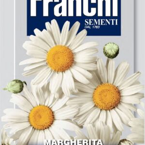 Franchi Seeds of Italy - Flower - FDBF_ 336-1 - Margherita - Gigante - Seeds