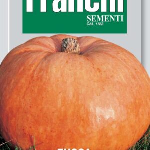 Franchi Seeds of Italy - DBO 145/1 - Pumpkin - Giallo Quintale Seme - Seeds