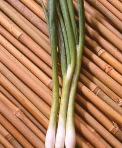 Salad Onion Summer Island Seeds