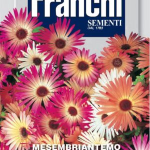 Franchi Seeds of Italy - Flower - FDBF_ 337-1 - Mesembrianthum - Mix - Seeds