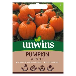 Unwins Vegetable Pumpkin Rocket F1 Hybrid - 5 Seeds