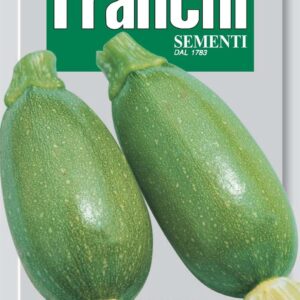 Franchi Seeds of Italy - DBO 146/41 - Courgette - Bolognese - Seeds