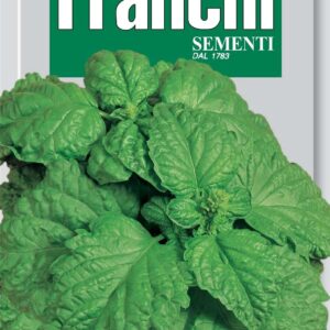 Franchi Basil A Foglie Di Lattuga Seeds