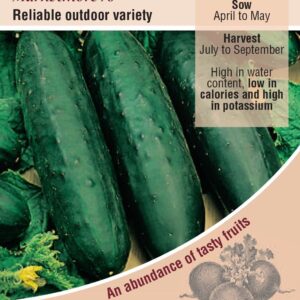 Kings Seeds Cucumber Marketmore 76 Seeds