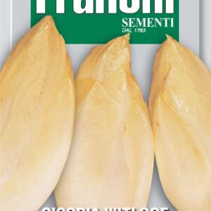 Franchi Seeds of Italy Chicory Mechelse Middelvroeg Seeds
