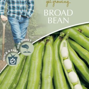 Mr Fothergills - David Domoney - Vegetable - Broad Bean - Vectra - 40 Seeds