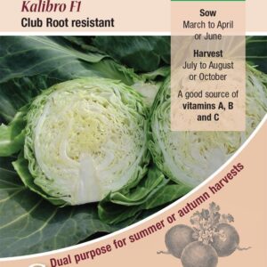 Kings Seeds  Cabbage Kalibro F1 Seeds