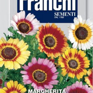 Franchi Seeds of Italy - Flower - FDBF_ 336-5 - Carinatum Daisy Multicolour - Seeds