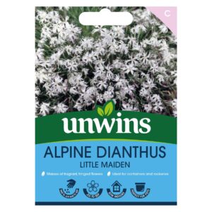 Unwins Flower Dianthus arenarius f. nanus Little Maiden - 50 Seeds