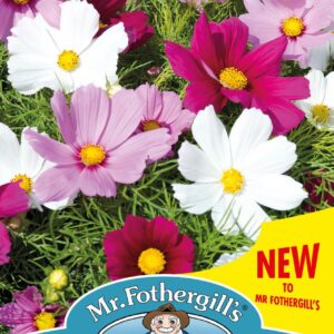 Mr Fothergills - Flower - Cosmos - Candyfloss Mixed (Dwarf) - 60 Seeds
