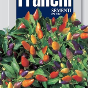 Franchi Seeds of Italy - Flower - FDBF_ 341-50 - Chili Pepper - Ornamental Fiesta - Seeds