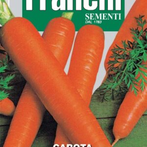 Franchi Seeds of Italy Carrot Berlicum 2 - Seeds