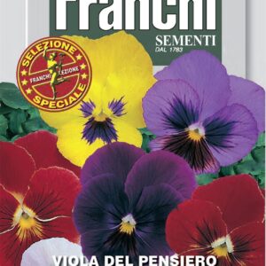 Franchi Seeds of Italy - Flower - FDBF_S 355-4 - Viola - Gigantic Swiss Mix - Seeds