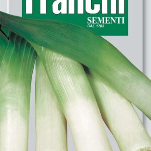 Franchi Seeds of Italy - DBO 107/12 - Leek - Di Delft - Seeds