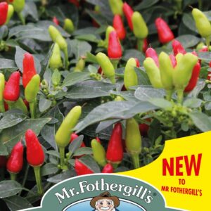 Mr Fothergills - Vegetable - Pepper - Fields Of Fire (Hot) -  Seeds