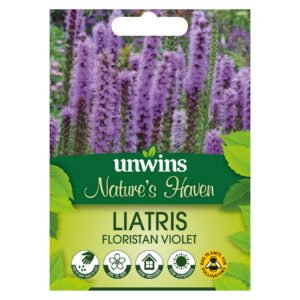 Unwins Flower Liatris Floristan Violet - 40 Seeds