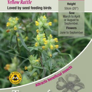 Kings Seeds Wild Flower Yellow Rattle Seeds
