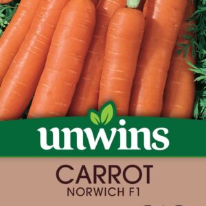 Unwins Carrot Norwich F1 300 Seeds