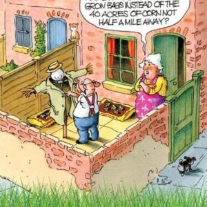 Greeting Cards Funny Humour Crows