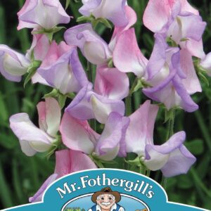 Mr Fothergills - Flower - Sweet Pea - Fire & Ice - 20 Seeds