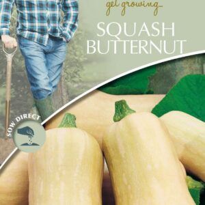 Mr Fothergills - David Domoney - Vegetable - Squash Butternut - Hawk F1 - 10 Seeds