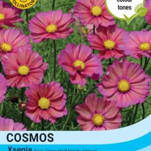 Thompson & Morgan  Flower Cosmos Xsenia - 25 Seeds