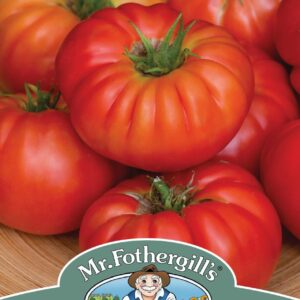 Mr Fothergills Tomato Bountiful F1 Hybrid - 10 Seeds