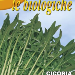 Franchi Organic BIOB40/81 Chicory Frastagliata Catalongna Seeds