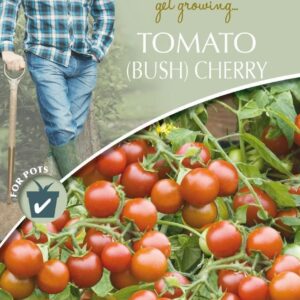 Mr Fothergills David Domoney Tomato Tumbling Cherry Falls 20 Seeds