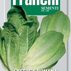 Franchi Seeds of Italy Lettuce Bionda Lentissima A Montare 4 - Seeds
