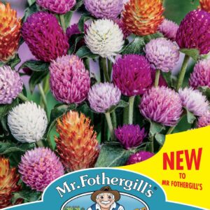 Mr Fothergills - Flower - Gomphrena - Mixed - 50 Seeds