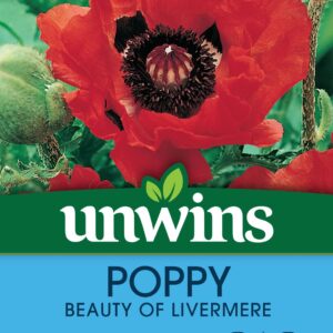 Unwins Poppy Beauty of Livermere 100 Seeds